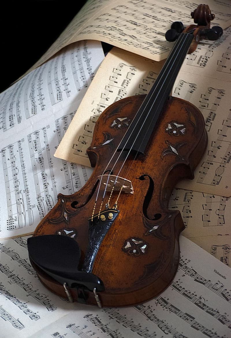 Streichinstrument, Nahaufnahme